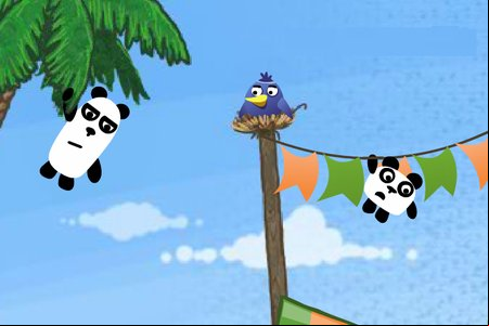 3 Pandas In Brazil