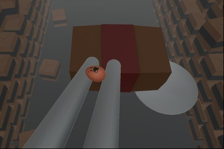 Chicky's Delivery Service