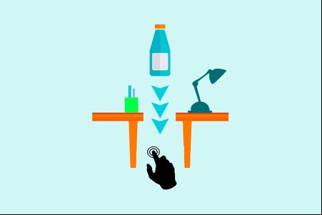 Falling Bottle Challenge