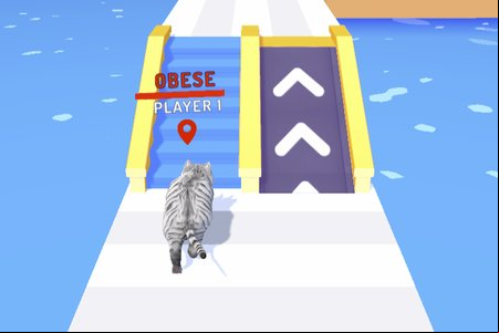 Pet Trainer Duel