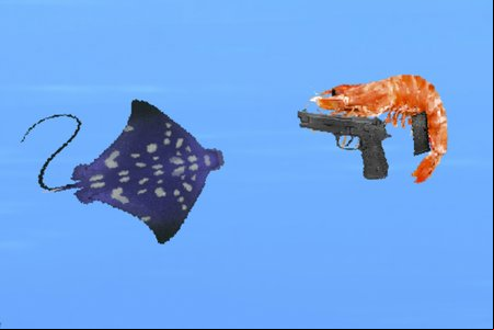 Pistol Shrimp