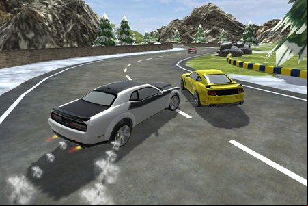 Race Burnout Drift