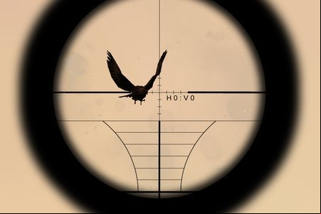 Sniper 3D