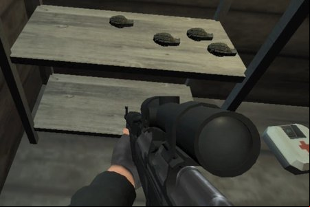 Survival Mission