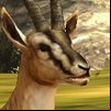 Jungle Deer Hunting Game