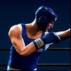 Punchers Game
