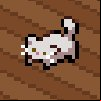 Scatter Paws Game